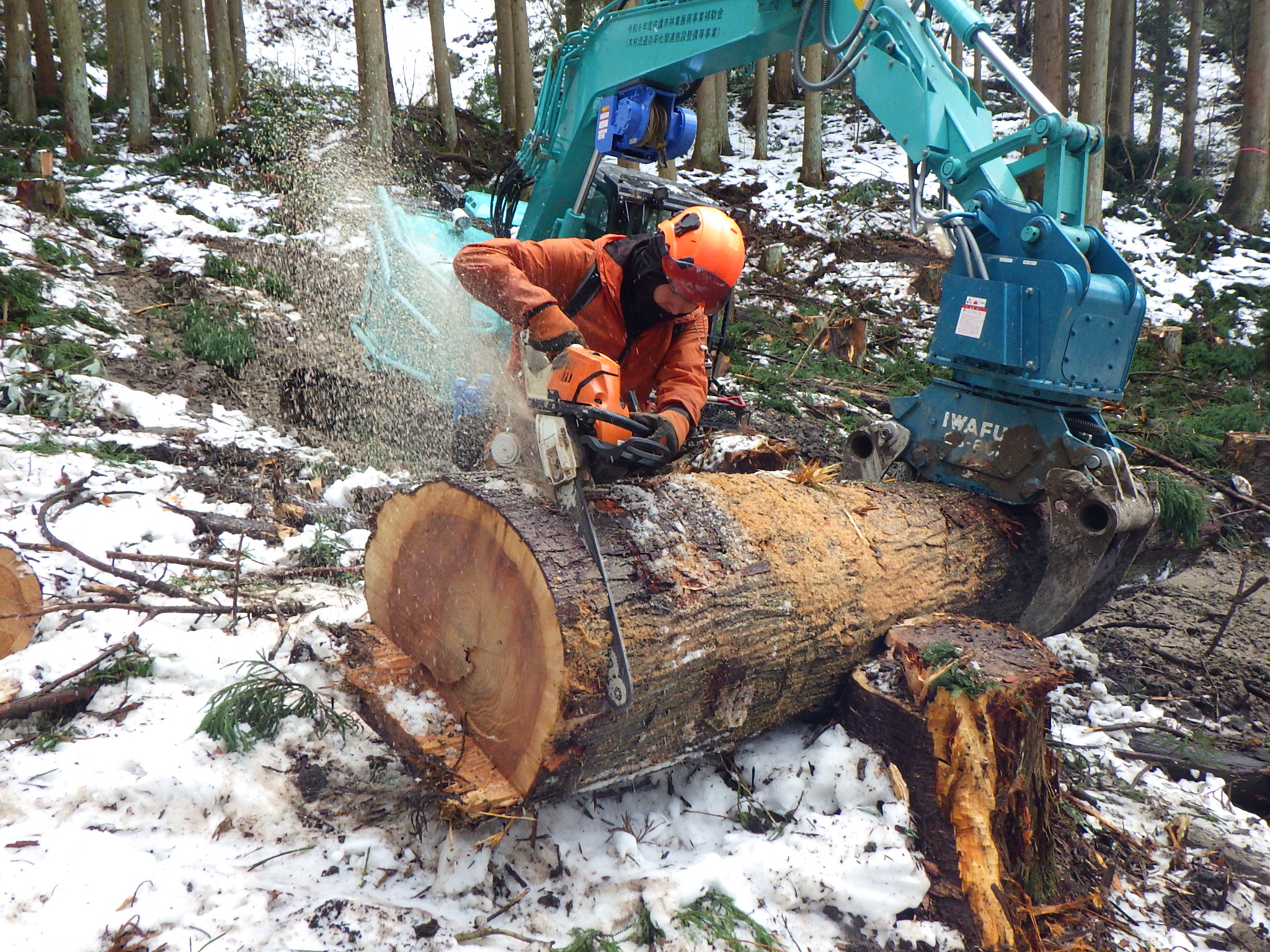 地元佐渡のために働きたい